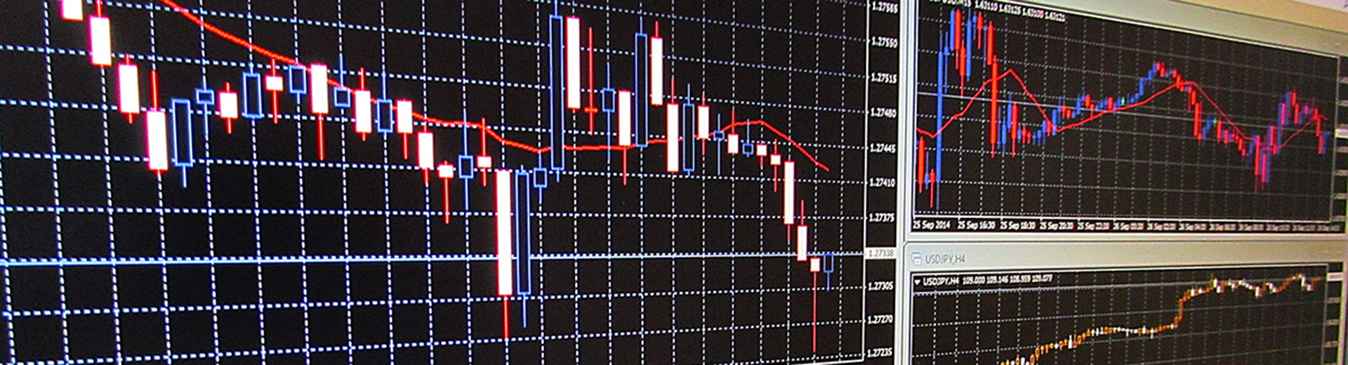 Verschiedene Börsencharts auf einem Computerbildschirm