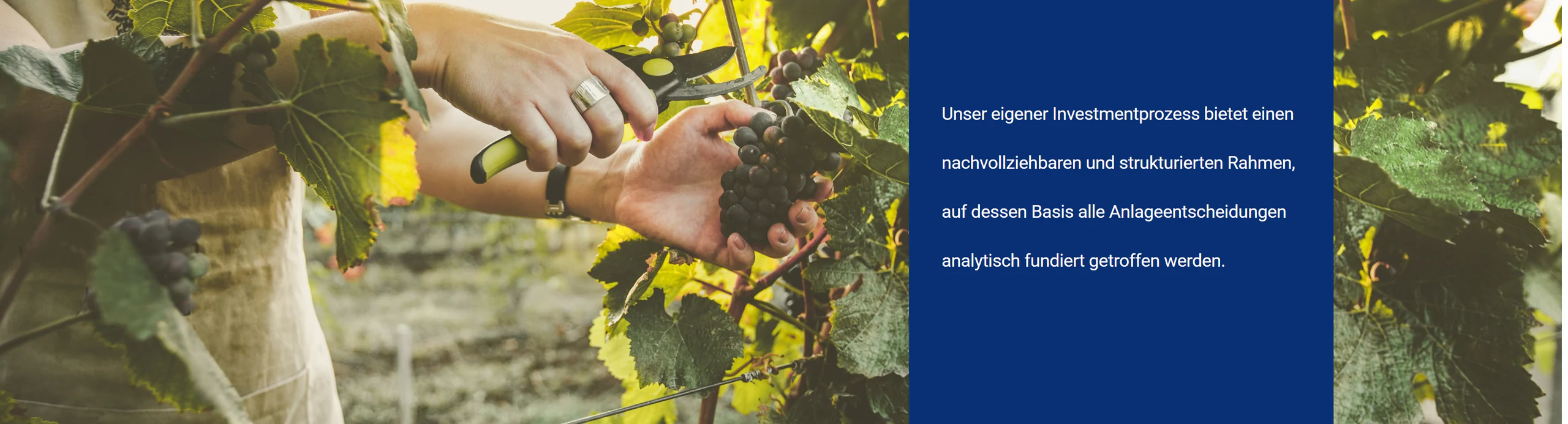 Investmentprozess Unser eigener Investmentprozess bietet einen nachvollziehbaren und strukturierten Rahmen, auf dessen Basis alle Anlageentscheidungen analytisch fundiert getroffen werden.
