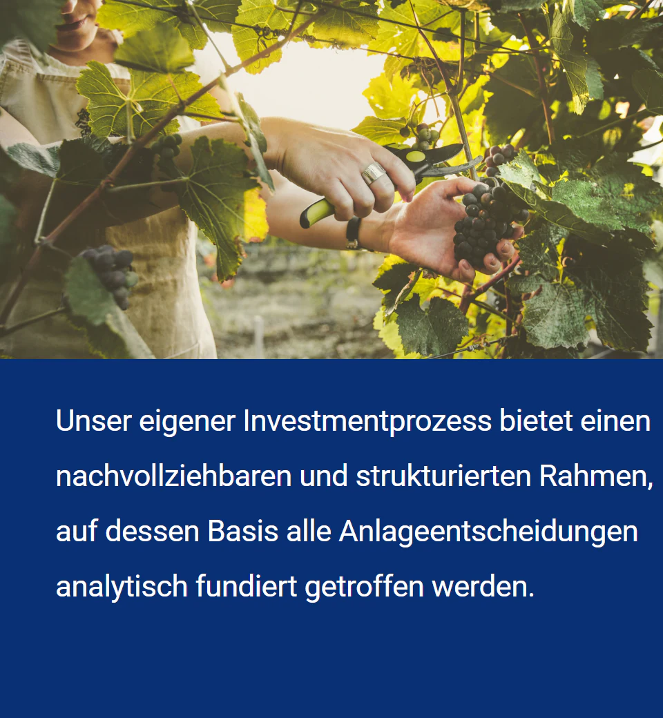 Investmentprozess_mobil Unser eigener Investmentprozess bietet einen nachvollziehbaren und strukturierten Rahmen, auf dessen Basis alle Anlageentscheidungen analytisch fundiert getroffen werden.